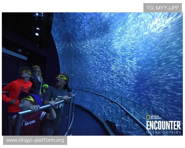 纽约国际娱乐场：为追求高端娱乐体验的游客提供最全面的娱乐选择